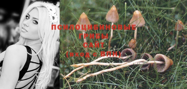 прущие крисы Елабуга