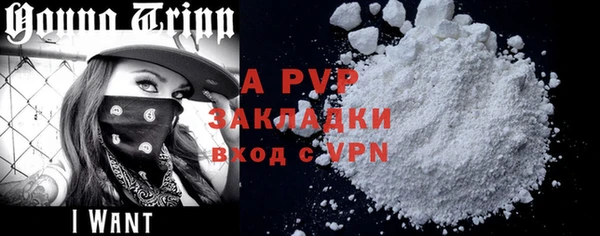 таблы Ельня