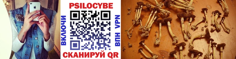 Купить Котлас Псилоцибиновые грибы прущие грибы