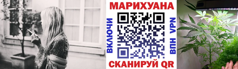 Купить закладки  Котлас  Канабис план 